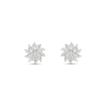 Marquise Starburst Studs